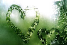 南安普顿vs伯恩茅斯：圣徒能否巩固主场优势？分析实力悬殊背后的战术博弈