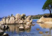 蓝衣军团征服！法国男篮力克强敌，半决赛荣耀之门已开！